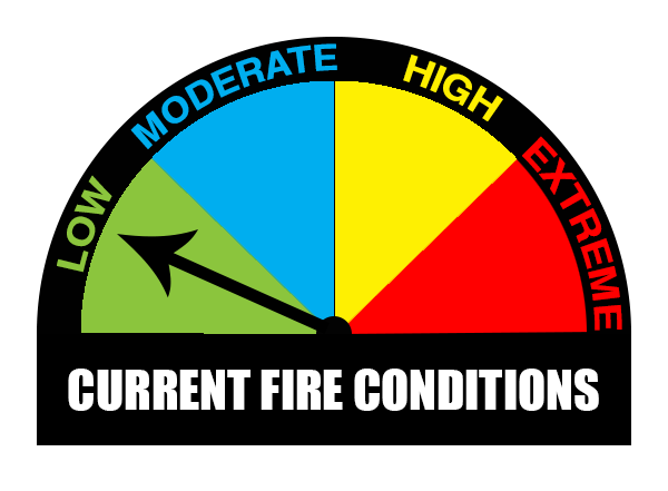 FIRE CONDITION LOW